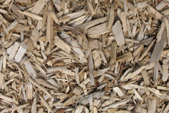 biomass boilers Greylake